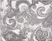 Панно из 2-х плиток SFUMATO GREY PAISLEY 402*505 Azori